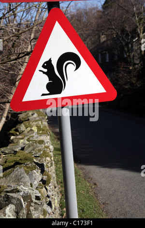 Road Sign Warnung der roten Eichhörnchen, in der Nähe von Loweswater, Cumbria Stockfoto