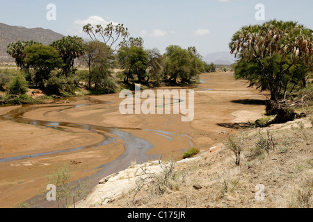 Der Ewaso Ng'iro-Fluss, der durch die Samburu National Reserve in Kenia läuft Stockfoto