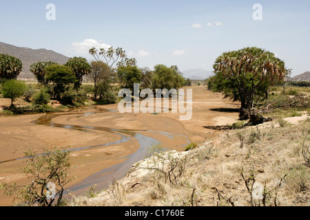 Der Ewaso Ng'iro-Fluss, der durch die Samburu National Reserve in Kenia läuft Stockfoto