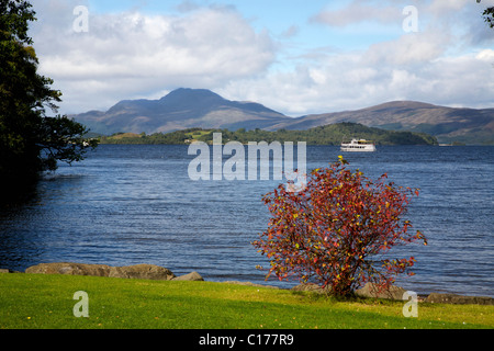 Blick auf Loch Lomond blickt über Ben Lomond. Stockfoto