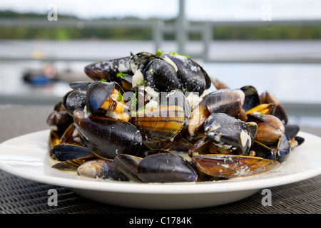 Ein Gericht der schottischen Westküste Muscheln. Stockfoto