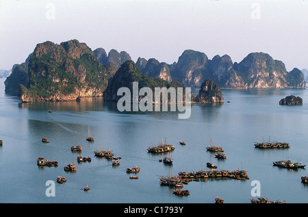 Vietnam, Quang Ninh Provinz, der Ha-Long-Bucht Stockfoto