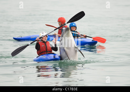 Einsame gesellig große Tümmler (Tursiops Truncatus) spielen mit jungen im Kajak. Folkestone, Kent, UK Stockfoto