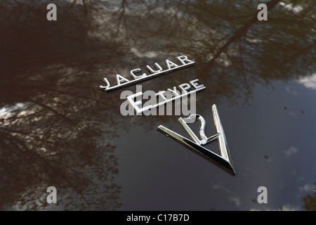 Emblem, Jaguar E-Type V12 Roadster, Oldtimer Stockfoto