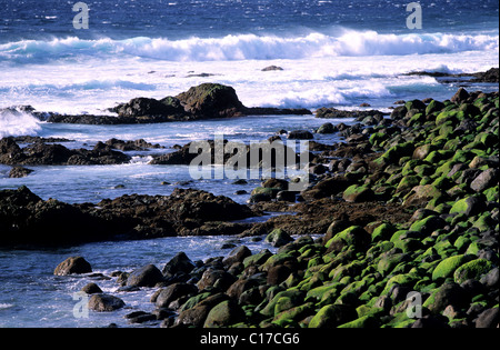 Spanien, Kanarische Inseln, Insel Gran Canaria, Rollers Strand von Puerto de Las Nieves Stockfoto