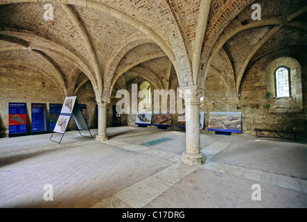 Kapitelsaal der Zisterzienser Abtei Abbazia di San Galgano Ruinen von Chiusdino, Provinz Siena, Toskana, Italien, Europa Stockfoto