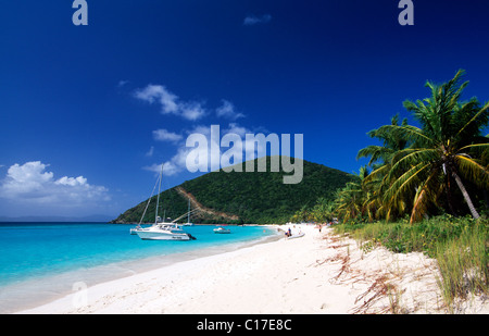 White Bay, Jost Van Dyke Island, Britische Jungferninseln, Caribbean Stockfoto