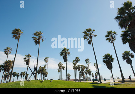 Venice Beach Skatepark Graffiti Grube urban Display Kunst Ocean Front Walk mit Palmen Stockfoto