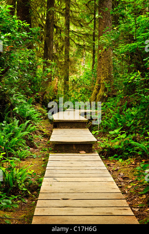 Holzweg durch gemäßigten Regenwald. Pacific Rim National Park, Britisch-Kolumbien Kanada Stockfoto