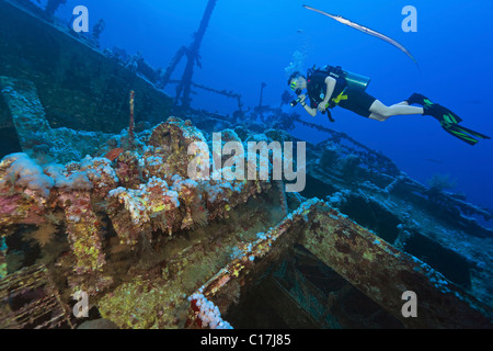 Eine Taucher gesellt sich ein Trumpetfish wie er eine Fackel auf der Aida II Schiffbruch auf Big Brother Island im Roten Meer scheint. Stockfoto