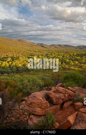 ABC-Bereich oberhalb Wilpena Pound (Ikara), Flinder Ranges National Park, South Australia, Australien Stockfoto