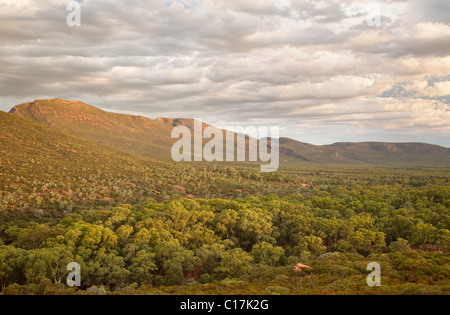 ABC-Bereich oberhalb Wilpena Pound (Ikara), Flinder Ranges National Park, South Australia, Australien Stockfoto