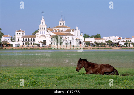 Andalusischen Pferde leben in der Wildnis im Nationalpark Donana, im Hintergrund das Dorf El Rocio, Andalusien, Spanien, Europa Stockfoto