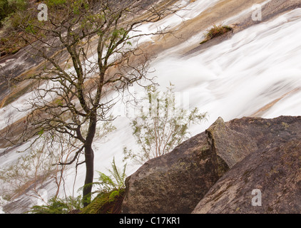 Lower Eurobin Falls, Mount Buffalo National Park, Victoria, Australien Stockfoto