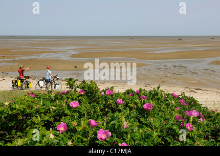 Radfahrer, Wattenmeer, in der Nähe von Mellhoern, Sylt, Nordfriesland, Nordsee, Schleswig-Holstein, Deutschland, Nordeuropa Stockfoto