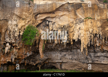 exponierten Höhle, Loch Ard Gorge Bereich Port Campbell National Park, entlang der Great Ocean Road, Victoria, Australien Stockfoto