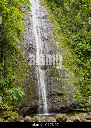 Manoa fällt auf Oahu, Hawaii in Manoa Tal. Stockfoto