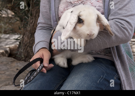 Eigentümer halten Baby Kaninchen im Kabelbaum Stockfoto