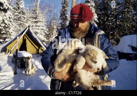 Kanada, Provinz Quebec, Trapper und seine Schlittenhunde Stockfoto