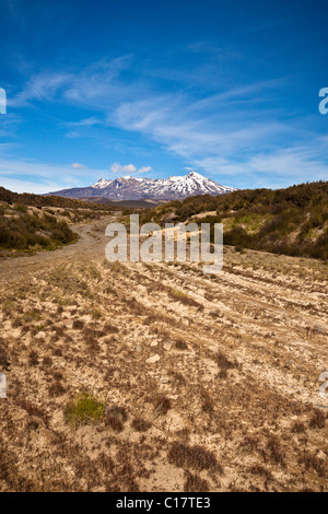 Weg zum Mount Ruapehu den höchsten Punkt in der Nordinsel, Tongariro Nationalpark, Nordinsel, Neuseeland Stockfoto