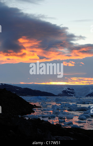 Eis-Blatt, Brueckner Gletscher und Eisberge in Johan Petersen Fjord, Ostgrönland, Grönland Stockfoto