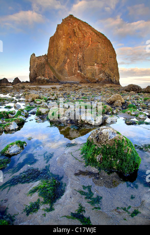 Haystack Rock in Cannon Beach Oregon bei Ebbe Stockfoto