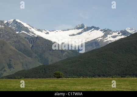 Blick auf Rob Roy Gletscher aus der Matukituki Valley, Wanaka, Otago Region, Südinsel, Neuseeland Stockfoto