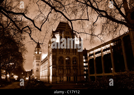 Das Natural History Museum in London Stockfoto