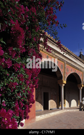 Spanien, Andalusien, Sevilla, Casa de Pilatos (Pilatus Haus), Palast mit Mudéjar, Gotik und Renaissance Stockfoto