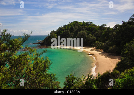 Walfisch Bucht, Tutukaka Coast Region Northland, Nordinsel, Neuseeland Stockfoto