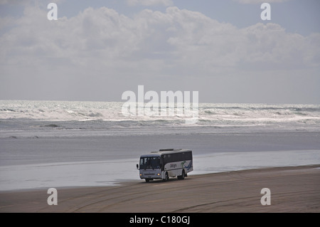 Tour-Bus fahren am Ninety Mile Beach, Northland, Nordinsel, Neuseeland Stockfoto