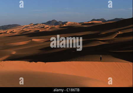Niger, Sahara, Wüste Tenere, Wandern in den Dünen von blendet (Crab Claw) Stockfoto