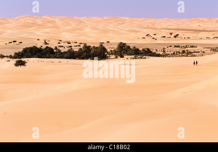 Mauretanien, Fläche von Adrar, Ankunft der Wanderer in einer Oase Stockfoto