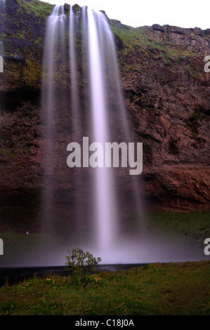 Wasserfall Seljalandsfoss, Südküste, Island, Europa Stockfoto