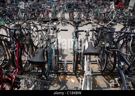 Viele Fahrräder geparkt in einen Fahrradständer Stockfoto