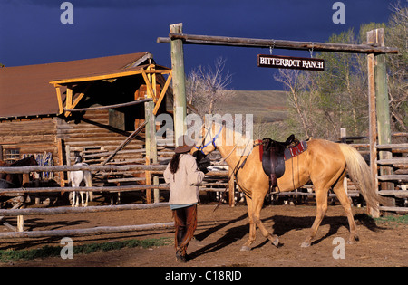 USA, Wyoming, Dubois, dude Ranch, Bitterroot Ranch Stockfoto