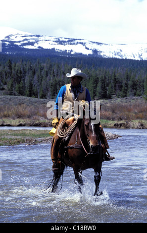 USA, Wyoming, Dubois, dude Ranch, Dreieck C Ranch, Wrangler und Pferd in der Wind river Stockfoto