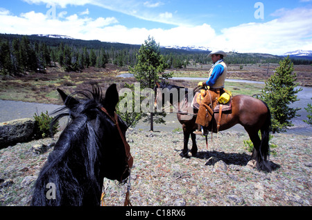 USA, Wyoming, Dubois, dude Ranch, Dreieck C Ranch, Wrangler und Pferde in der Wind River Stockfoto