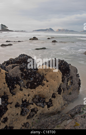 Ria de Vigo Küste mit Cíes-Inseln auf dem Hintergrund. Nigran, Pontevedra, Galicien, Spanien. Stockfoto
