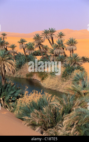 Libyen, Region der Wüste, Fezzan (Sahara), Erg Ubari, See von Oum El Ma Stockfoto