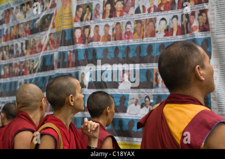 In Dharamsala eine Gruppe von tibetischen Mönchen und Nonnen schauen in Sorge über Fotografien von Tibetern gefoltert oder getötet in den letzten Stockfoto