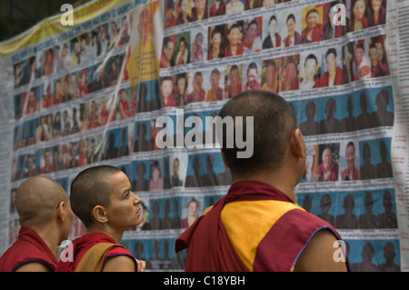 In Dharamsala eine Gruppe von tibetischen Mönchen und Nonnen schauen in Sorge über Fotografien von Tibetern gefoltert oder getötet Stockfoto