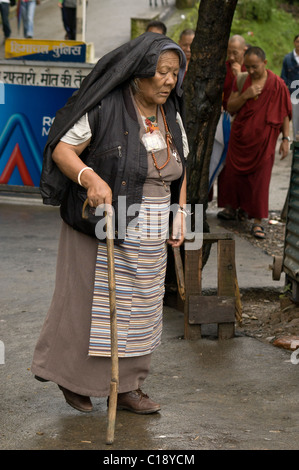 Eine alte tibetische Frau geht mit der Unterstützung der einen Spazierstock Stockfoto