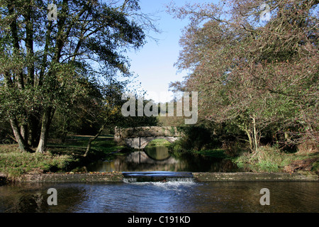 Der Fluß Mimram Hertfordshire Herbst Stockfoto