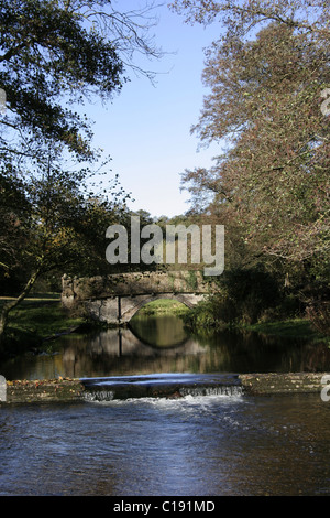 Der Fluß Mimram Hertfordshire-Herbst Stockfoto