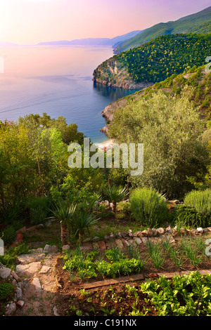 Garten in Beli Stadt auf einem Hügel mit Blick auf den Hafen & Klippen, Insel Cres, Kroatien Stockfoto