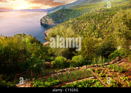 Garten in Beli Stadt auf einem Hügel mit Blick auf den Hafen & Klippen, Insel Cres, Kroatien Stockfoto