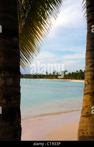 EMPTY BEACH AM FRÜHEN ABEND IN DER DOMINIKANISCHEN REPUBLIK Stockfoto