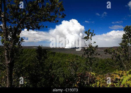 Tropische Vegetation ändert sich mit der vulkanischen Landschaft im Volcanoes National Park, Big Island, Hawaii, Hawaii, USA Stockfoto