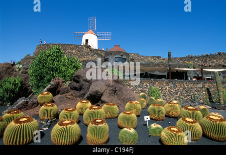 Jardin de Cactus in Guatiza, Lanzarote, Kanarische Inseln, Spanien, Europa Stockfoto